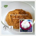 Mangosteen Extract Alpha-Mangostin 10%, 20%, 30%, 90%